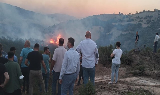 Türlübey yangını yenidenkontrol altına alındı