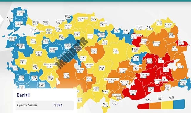 Denizli, Mavi renk oldu