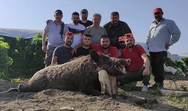 Mısır üreticisi Kocabaş canavarından kurtuldu
