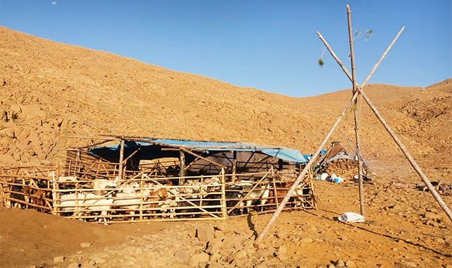 700. AĞUSTOS AYININ SON PERŞEMBE GÜNÜ