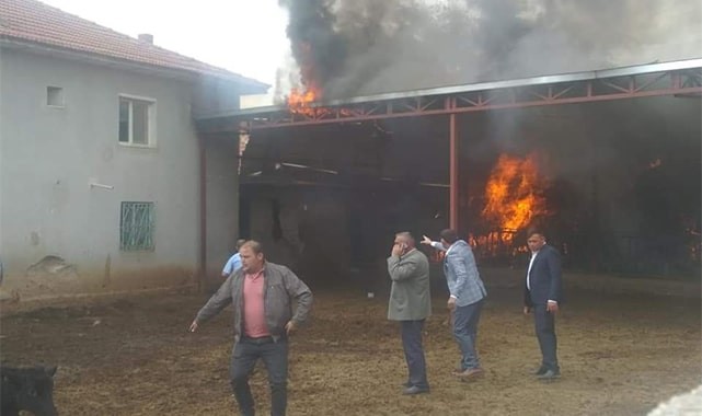 Besihanede başlayan yangın evlere ulaşamadan söndürüldü