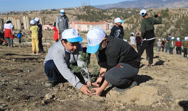 AKTEPE MAHALLESİNE PARK VE AĞAÇLANDIRMA PROJESİ