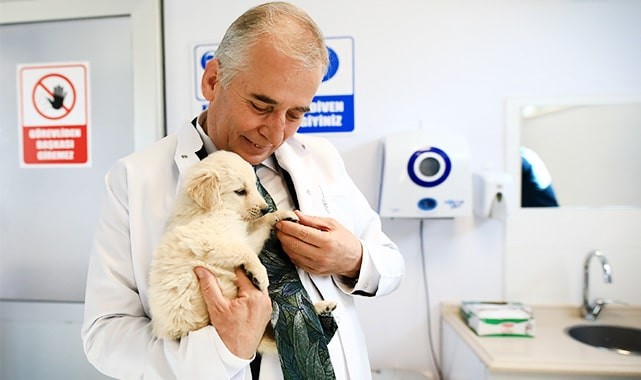 Her okula bir sokak köpeği projesi 25 okula ulaştı
