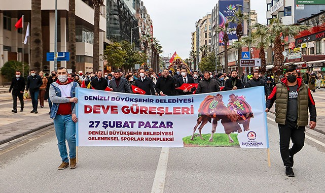 Pehlivan develer görücüye çıktı