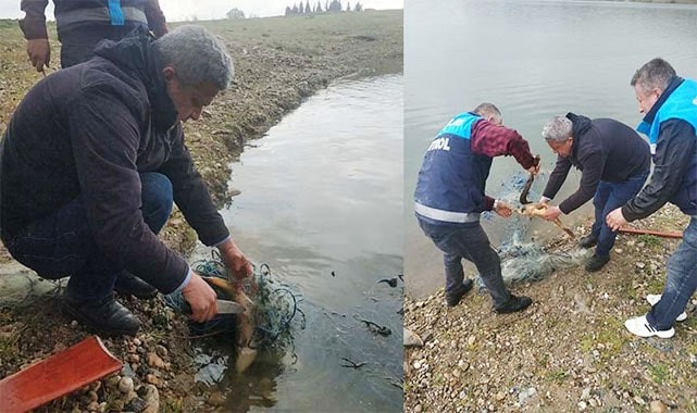 Gökpınar’da balık katliamı durduruldu