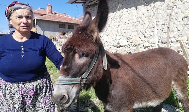 8 AYLIK HASRET SONA ERDİ, EŞEĞİNE KAVUŞTU