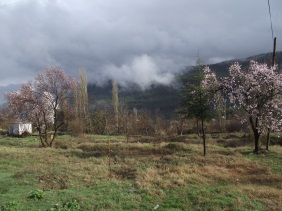DARI DERESİ (Anam Gari Ya Ya) DERLEME