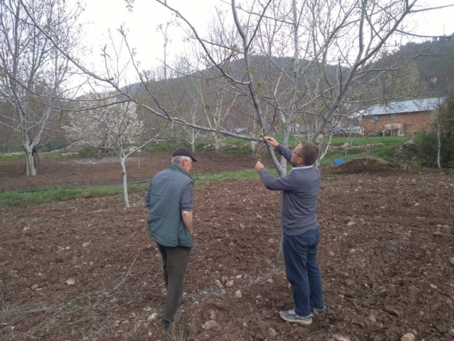 Milyonluk hasardan sonra şimdi ekili araziler araştırılıyor