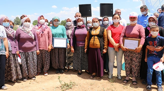 Pamukkale lavanta bahçeleriyle de turizmin gözdesi olmayı hedefliyor