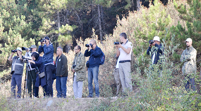 Buldan Yayla Gölü kuş gözlemcilerini ağırladı
