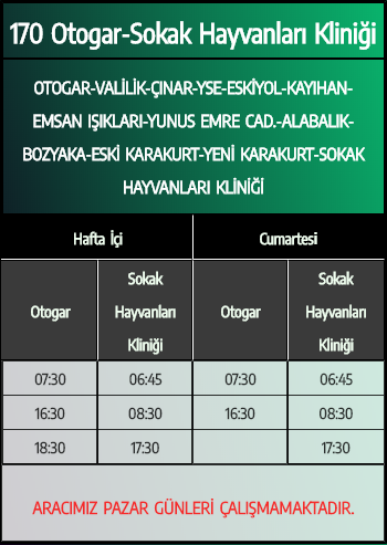 hareket saatleri denizli muhabir