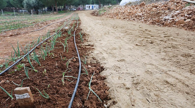 ÜNİVERSİTEME DOKUNMAYIN..!