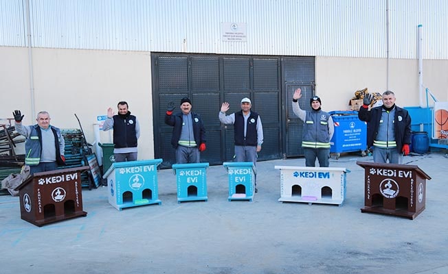 Ahşap atıklar Pamukkale'de kedilere ev oluyor