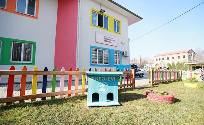 Ahşap atıklar Pamukkale'de kedilere ev oluyor