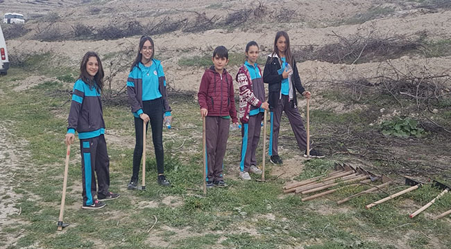 FİDANLAR FİDAN DİKTİ