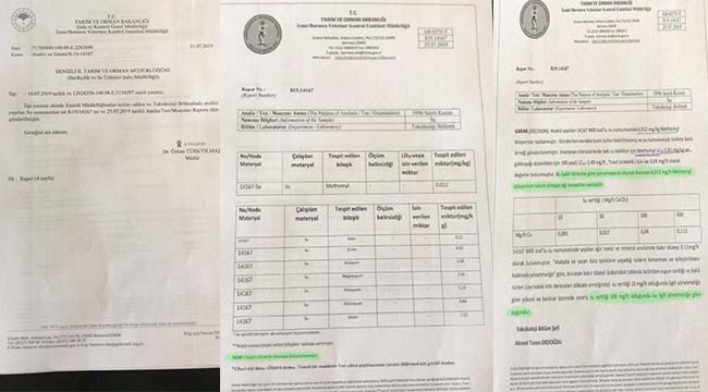Sonuç: "Su temiz, Oksijen yok!"