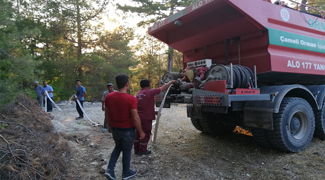 Yüksek gerilim hattı yangına neden oldu