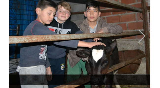 BULDAN'LI MATMAZEL HAYRAN BIRAKIYOR