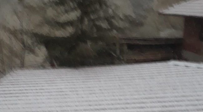 Cankurtarana gidecekler dikkat