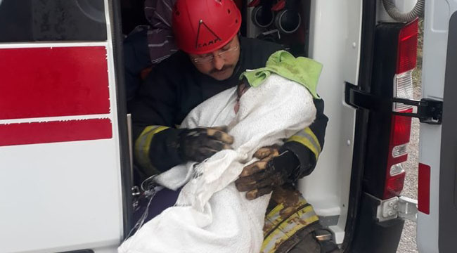 Denizli’de Trafik Kazası: 3'ü Çocuk 8 Yaralı