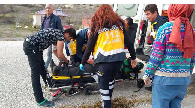 ÇAMELİ'DE TRAFİK KAZASI: 2 YARALI