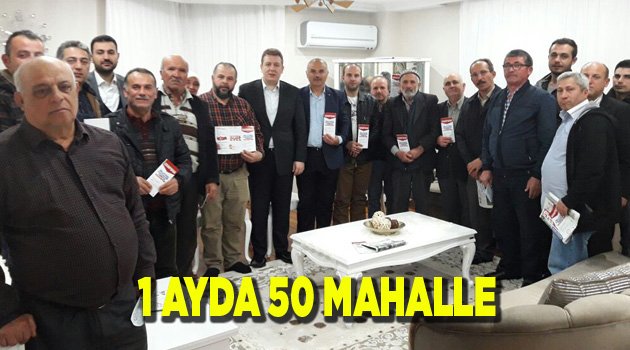 1 AYDA 50 MAHALLE