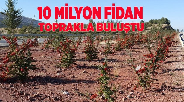 10 Milyon Fidan Toprakla Buluştu
