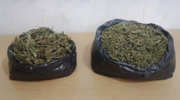 2 ilçede uyuşturucu operasyonu