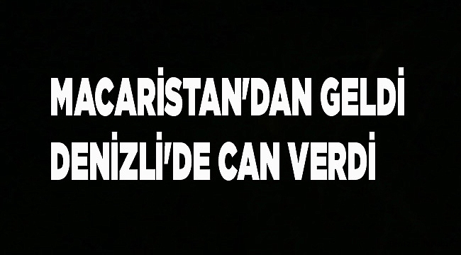 MACARİSTAN'DAN GELDİ, DENİZLİ'DE CAN VERDİ