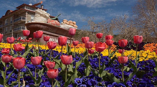 Çameli Bahar'da başka güzel