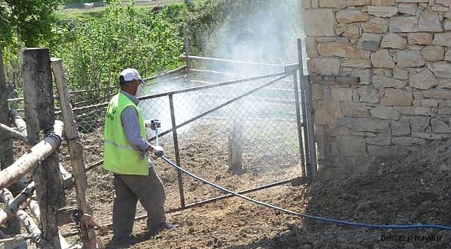 ÇAMELİ'DE AHIRLAR İLAÇLANIYOR
