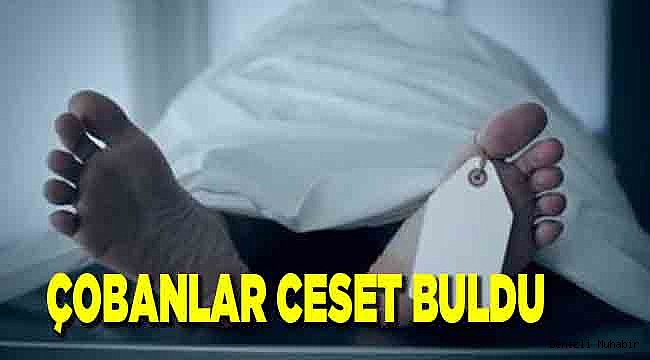CESEDİNİ ÇOBAN BULDU