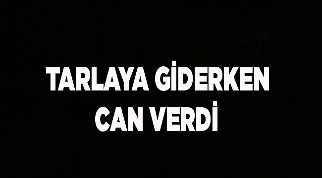 ÇİFTÇİNİN HAZİN SONU