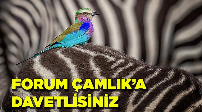 DAVETLİSİNİZ: