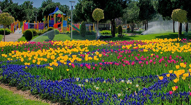 Denizli gökkuşağı renklerine büründü