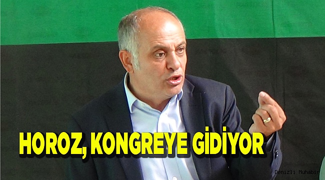 Denizlispor olağanüstü genel kurula gidiyor