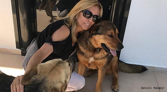 Havlayan köpeği levyeyle dövdü