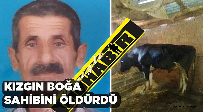 Kızgın boğa sahibini öldürdü