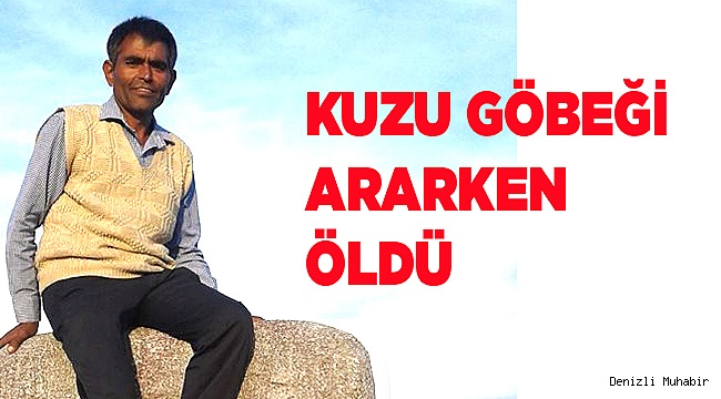 KUZU GÖBEĞİ ARARKEN ÖLDÜ