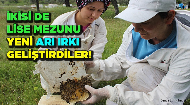 Lise mezunu iki kadın yeni bir arı ırkı geliştirdi
