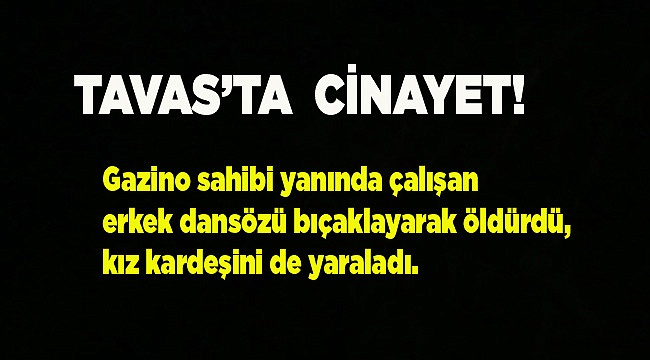 EV ARKADAŞINI HUNHARCA ÖLDÜRDÜ