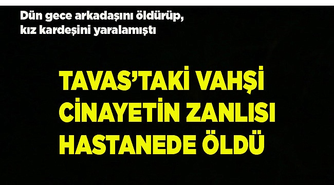 Vahşi cinayeti işleyen yaralı katil zanlısı hastanede öldü