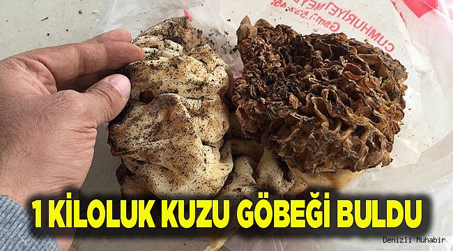 1 KİLOLUK KUZU GÖBEĞİ BULDU