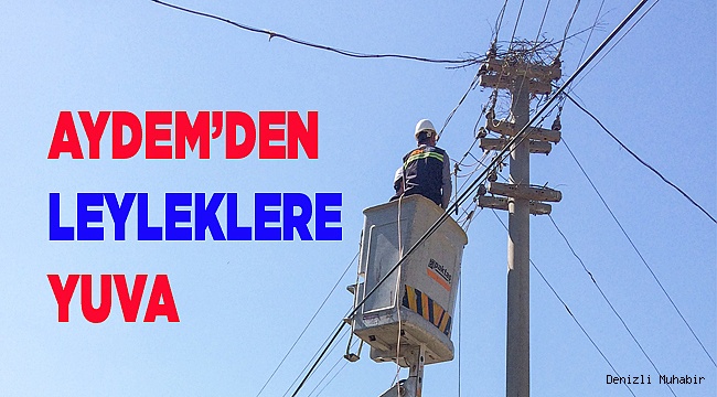 ADM Elektrik Dağıtım’ın Misafirlerine Yeni Yuva