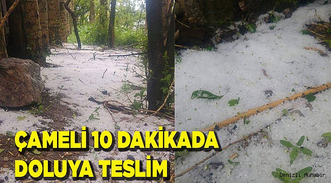 ÇAMELİ'YE 1 HAFTADA 2.Cİ DOLU YAĞIŞI