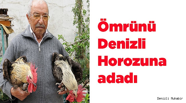 Ömrünü Denizli Horozuna adadı