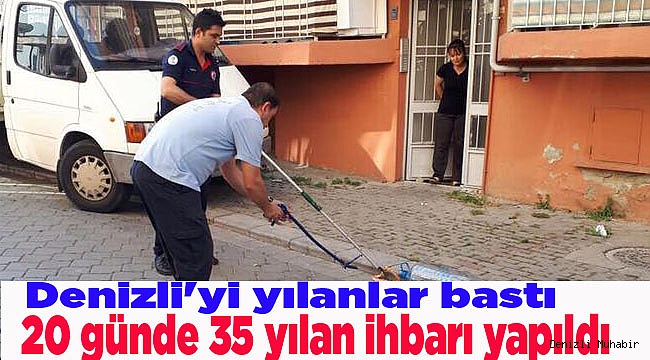 20 günde 35 yılan ihbarı yapıldı