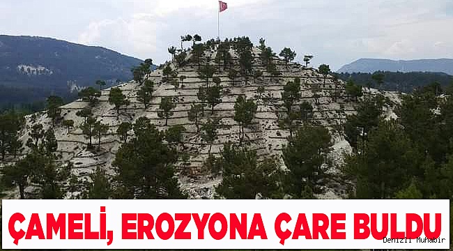 ÇAMELİ, EROZYONA ÇARE BULDU