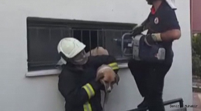 Korkuluklara sıkışan köpeği itfaiye kurtardı