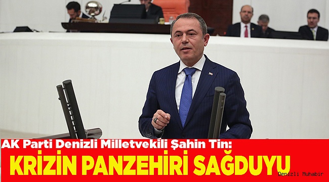 KRİZİN PANZEHİRİ SAĞDUYU